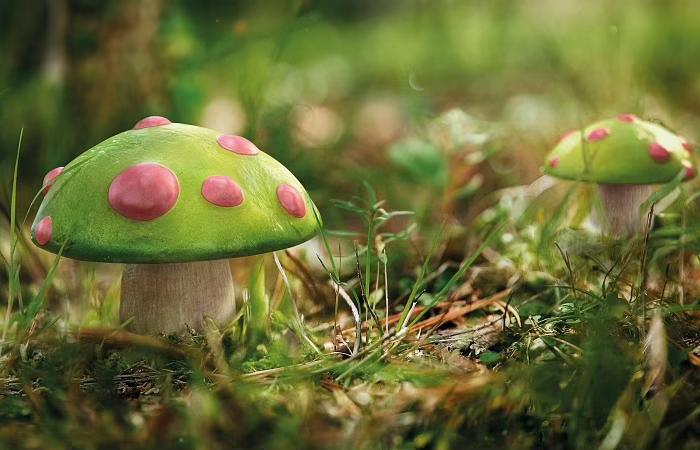 Cập nhật Liên Minh Tốc Chiến 2.0: Ra mắt Teemo, Kennen, Tristana