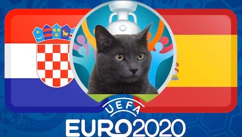 Mèo tiên tri dự đoán bóng đá EURO hôm nay 28/06: Croatia vs Tây Ban Nha
