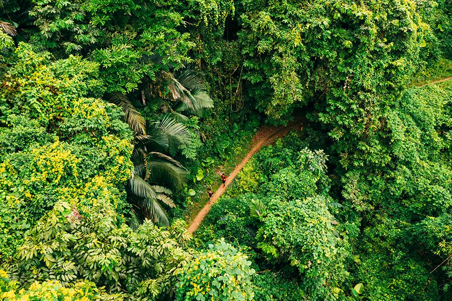 Chạy trên cung đường tuyệt đẹp của giải siêu địa hình Ba Bể Jungle Marathon