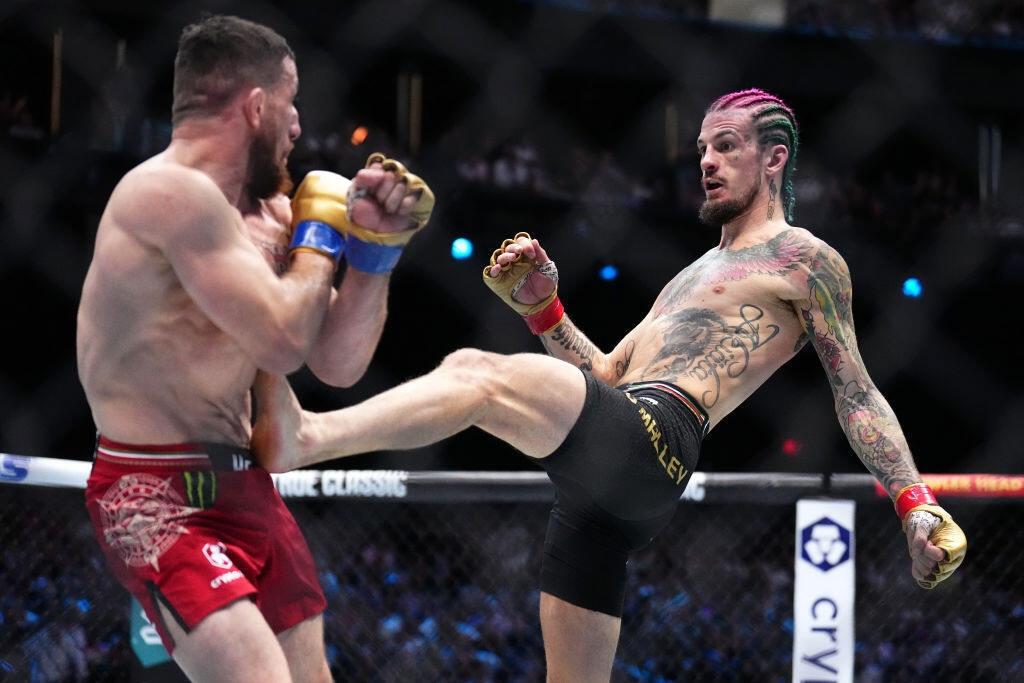 Huyền thoại UFC chỉ ra đòn thế Sean O'Malley có thể dùng để hạ Merab Dvalishvili