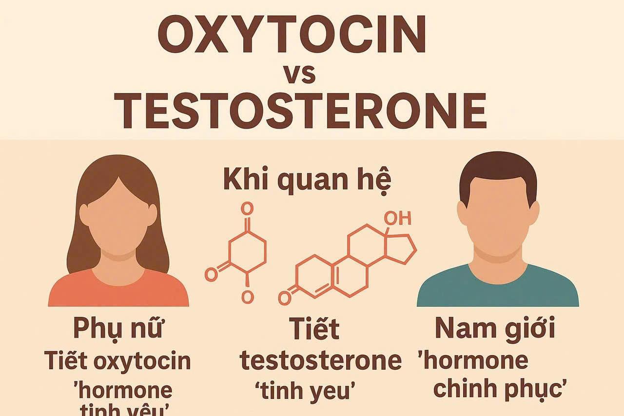 Tình dục và thể thao thành tích cao qua góc nhìn huấn luyện tâm lý