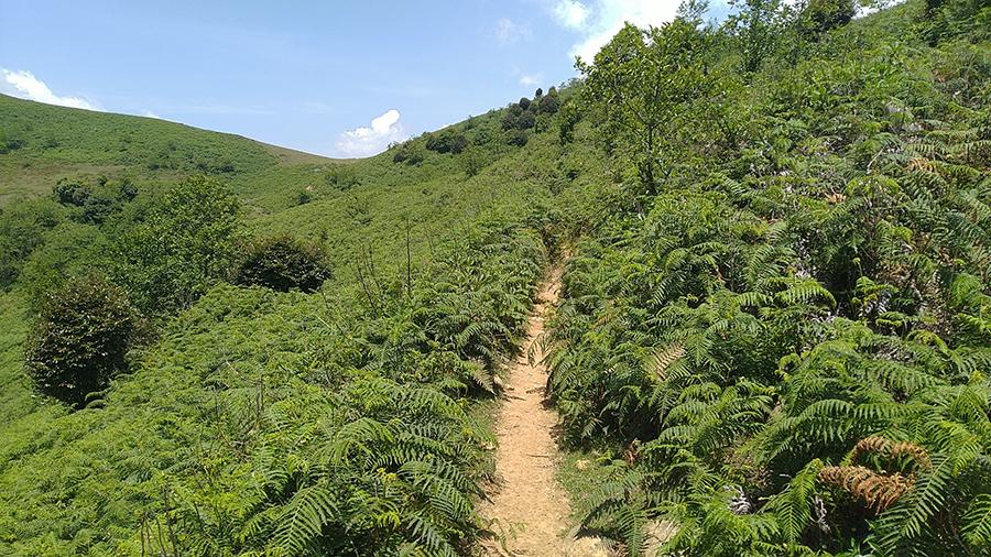 Giải chạy 160km đầu tiên ở Việt Nam siết chặt điều kiện tham dự sau “thảm họa chạy 100km Trung Quốc”