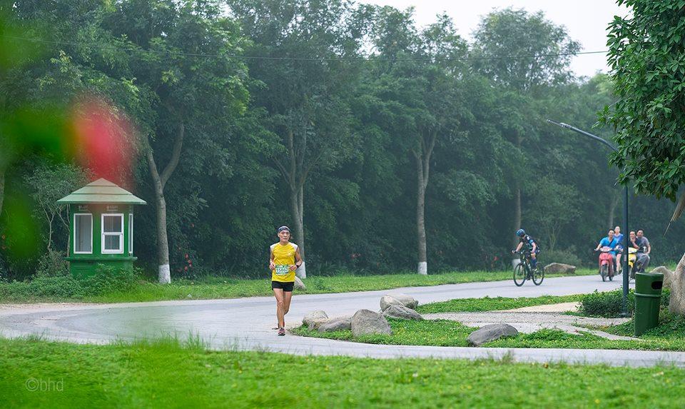 Mục kích đường chạy marathon "Hoa vàng trên cỏ xanh" Ecopark