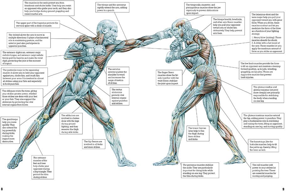 Khi nào võ tổng hợp - MMA có thể trở thành một bộ môn võ thuật?